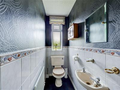 Picture 15